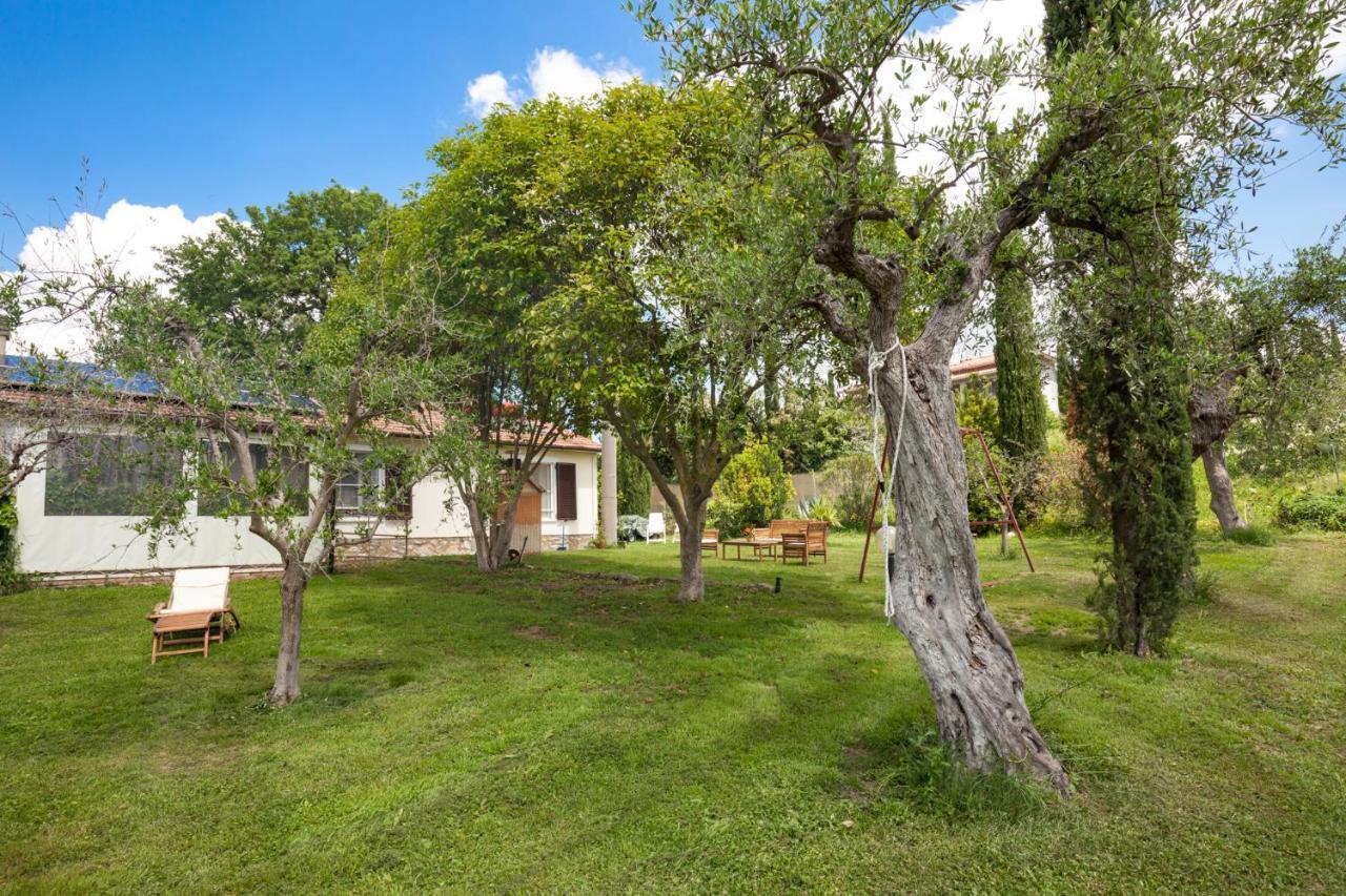 Artemisia Negli Ulivi B&B Мальяно-ін-Тоскана Екстер'єр фото
