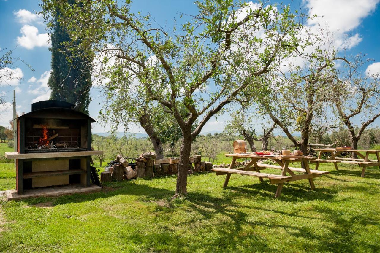 Artemisia Negli Ulivi B&B Мальяно-ін-Тоскана Екстер'єр фото