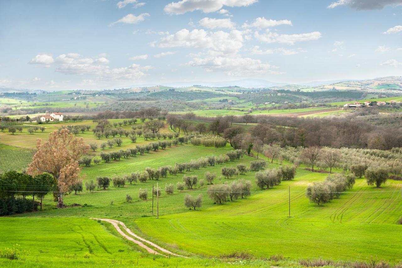Artemisia Negli Ulivi B&B Мальяно-ін-Тоскана Екстер'єр фото