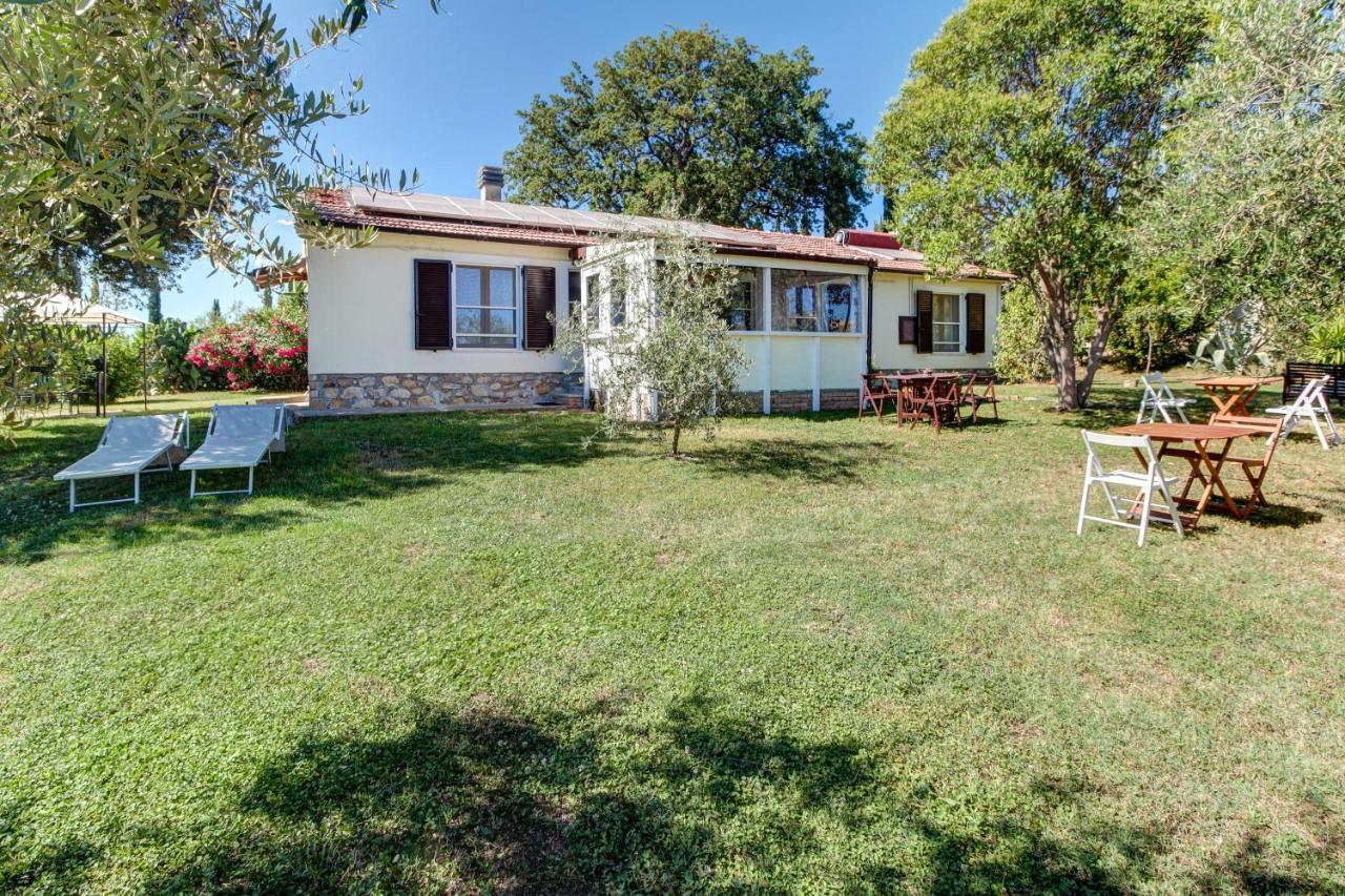 Artemisia Negli Ulivi B&B Мальяно-ін-Тоскана Екстер'єр фото